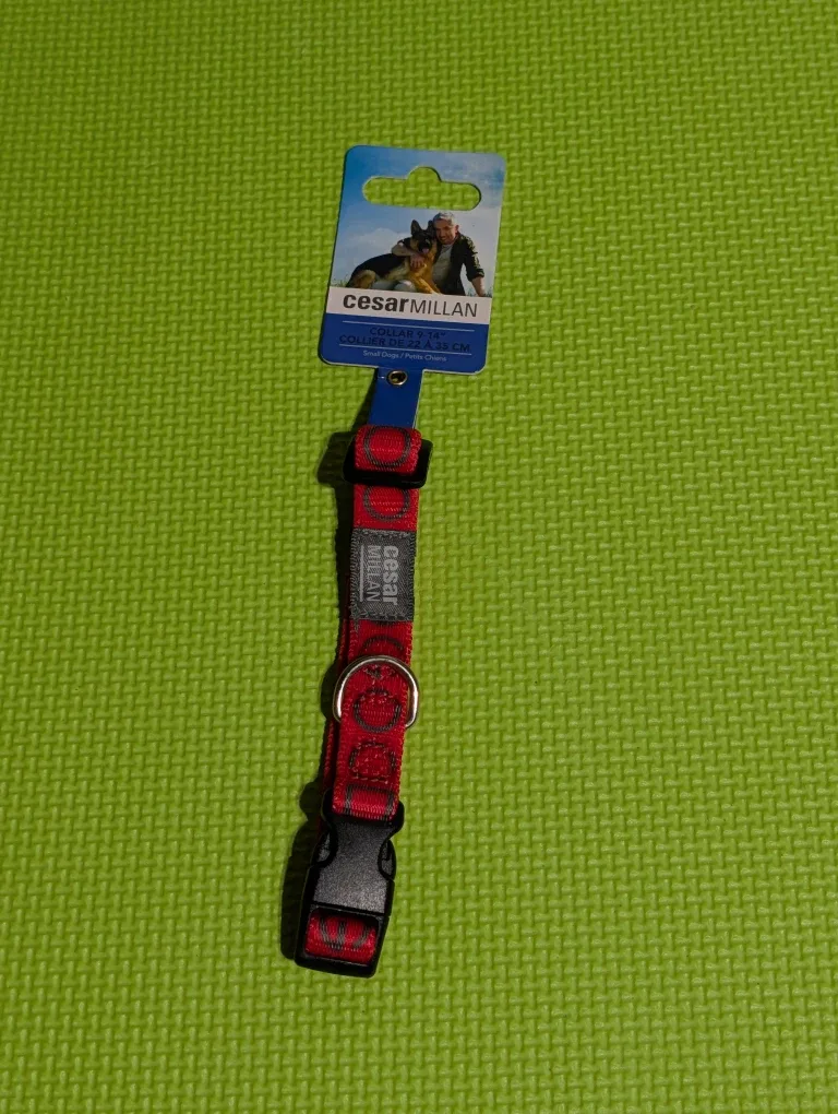 FREE: Cesar Millan Dog Collar, 9-14" 2of5
