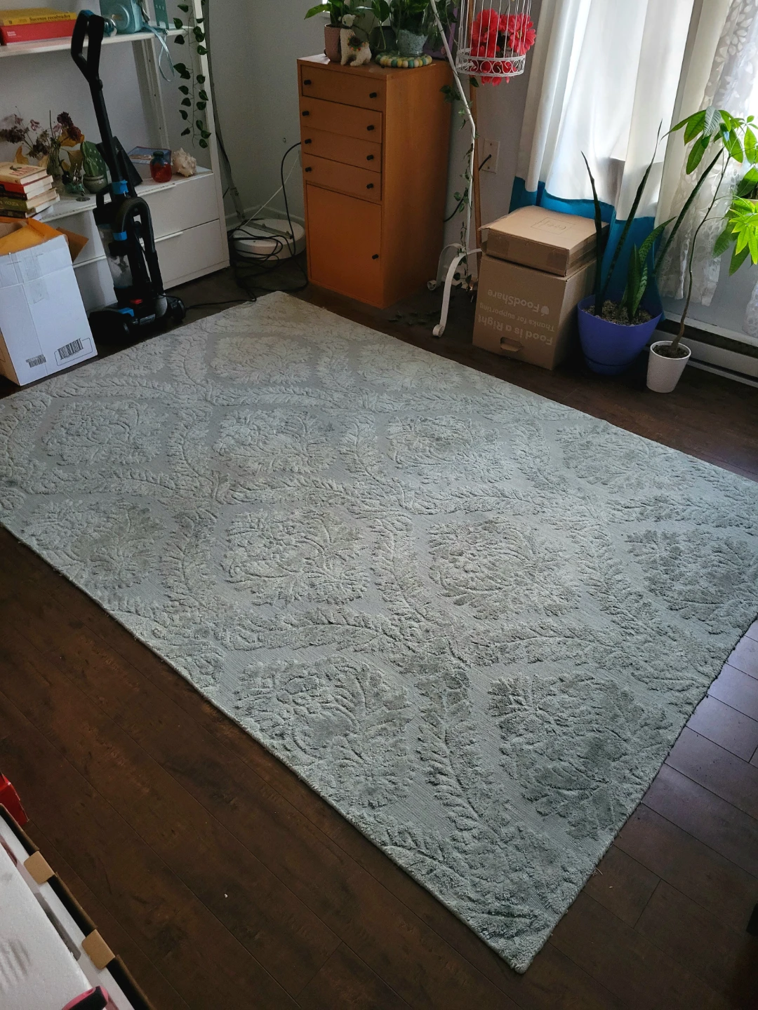 Patterned Area Rug
