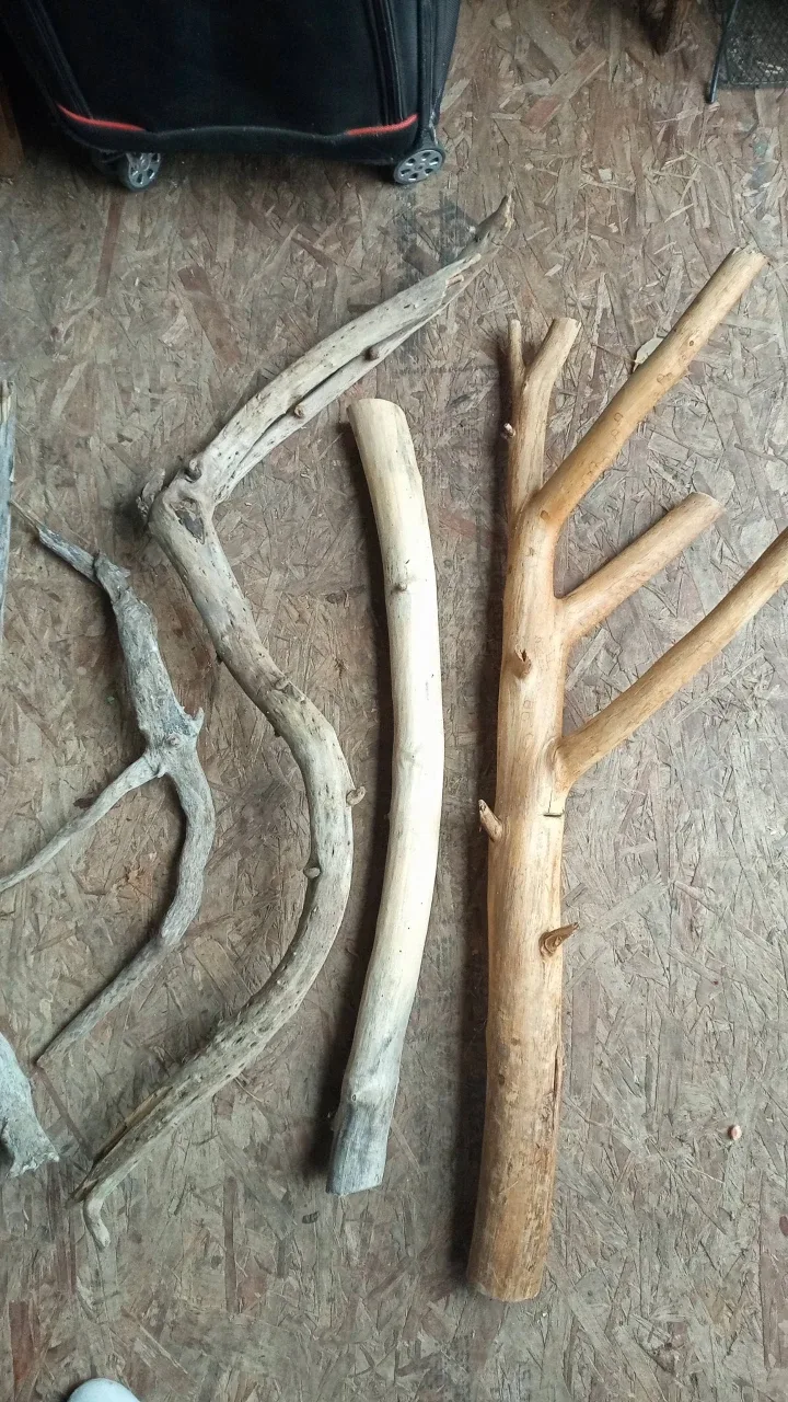 Various Terrarium beached wood image indicator(2)