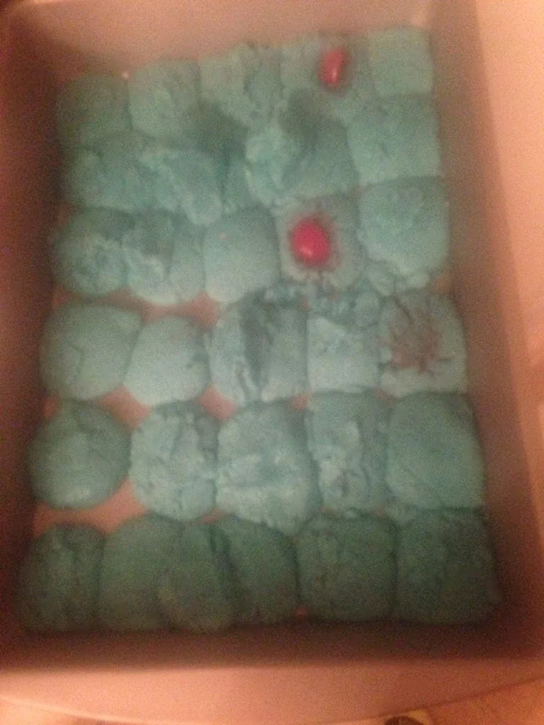 Thanksgiving/ christmas  makeing desserts image indicator(2)