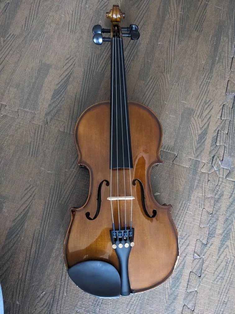 Viola with Bow and Case image indicator(2)