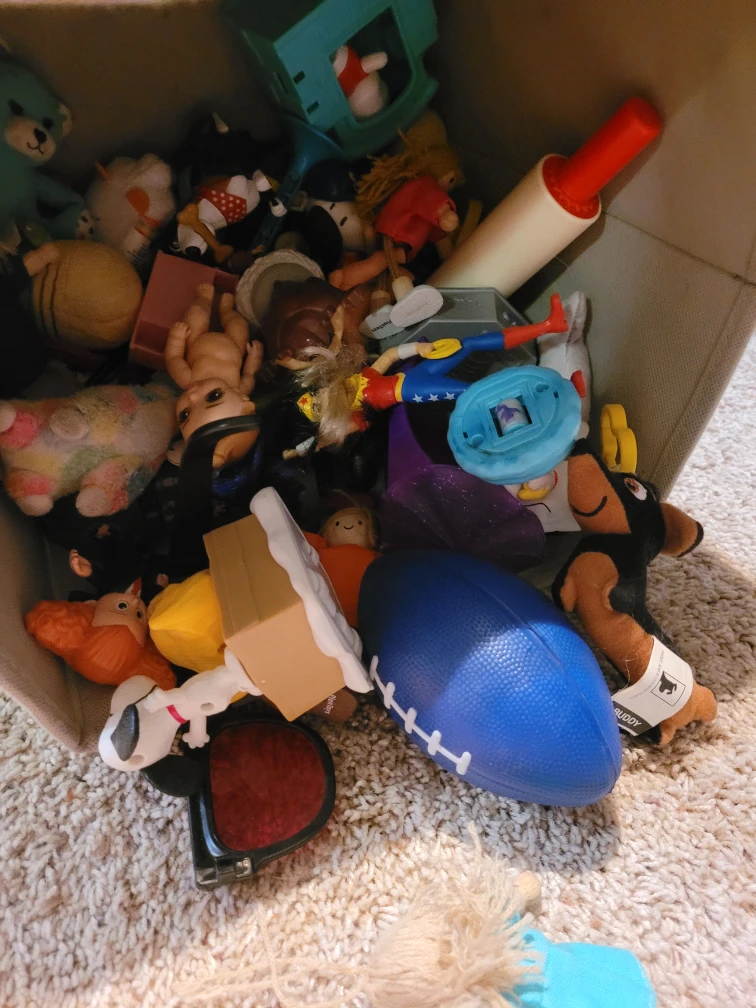 Box Of Random Toys - photo 3
