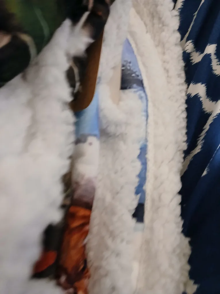 New.christmas blanket image indicator(4)