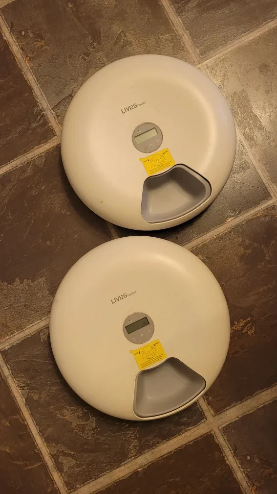 Cat things image indicator(6)