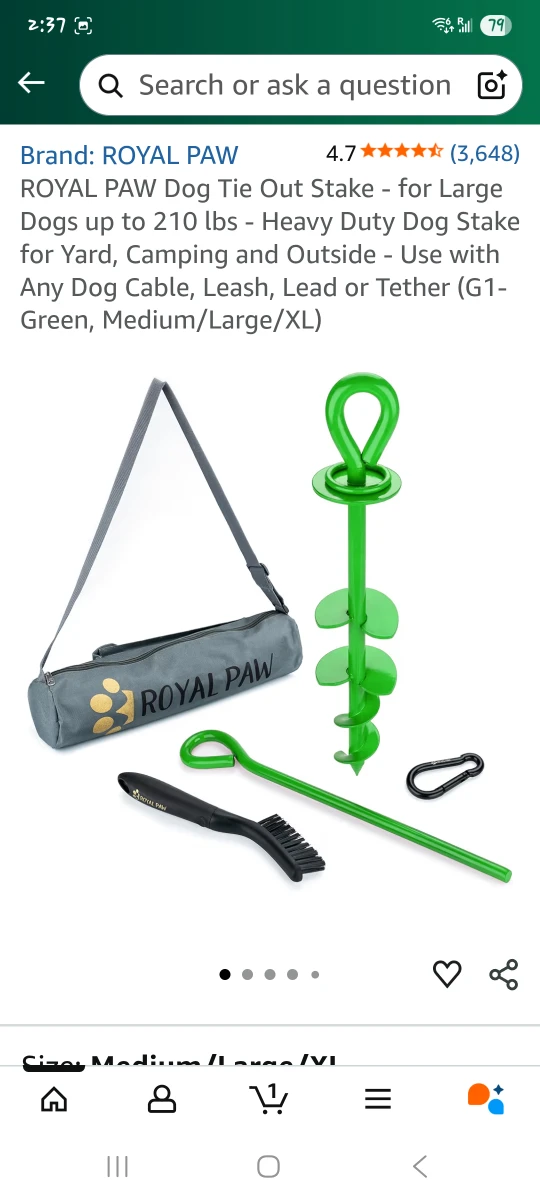 Dog Tie Out Stake - Heavy Duty