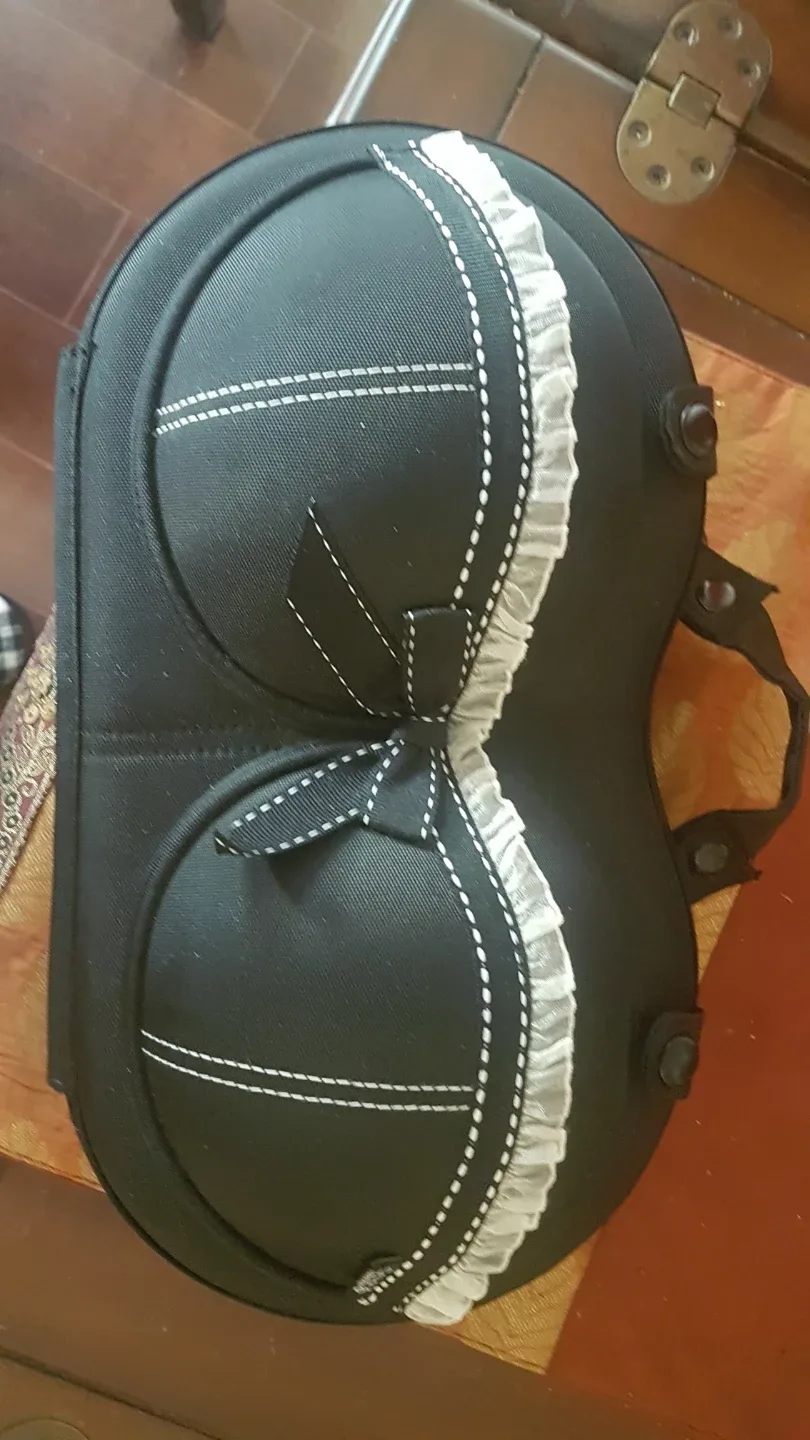 The Brag Company Bra Case - Black image indicator(2)