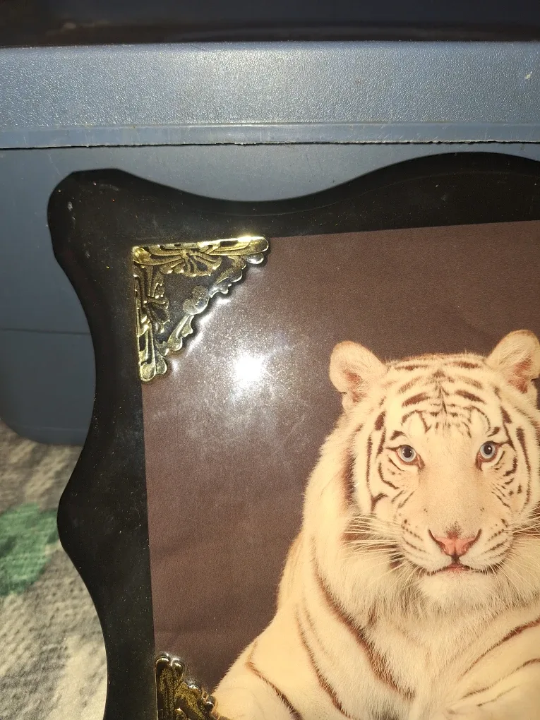 Tiger image indicator(2)