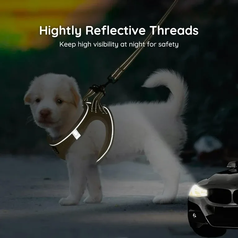 Dog Harness and Leash Set - Size XS image indicator(2)