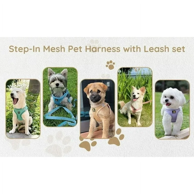 Dog Harness and Leash Set - Size XS image indicator(6)
