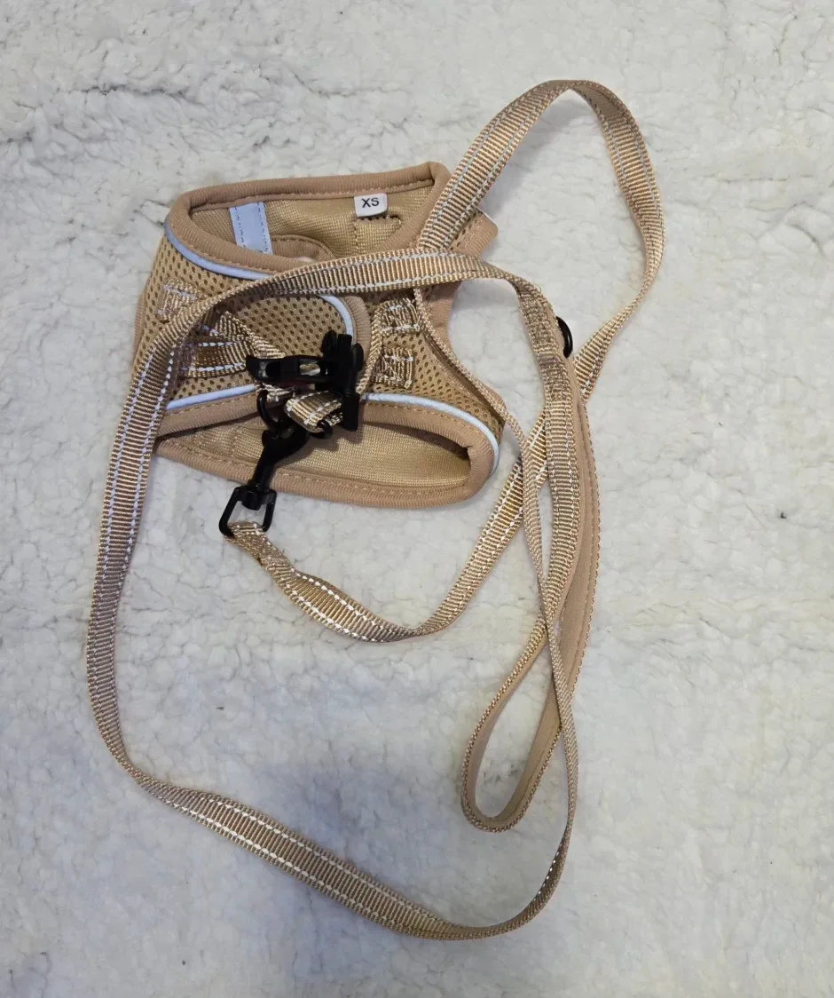 Dog Harness and Leash Set - Size XS image indicator(7)
