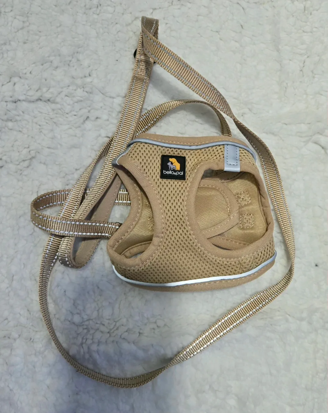 Dog Harness and Leash Set - Size XS image indicator(8)