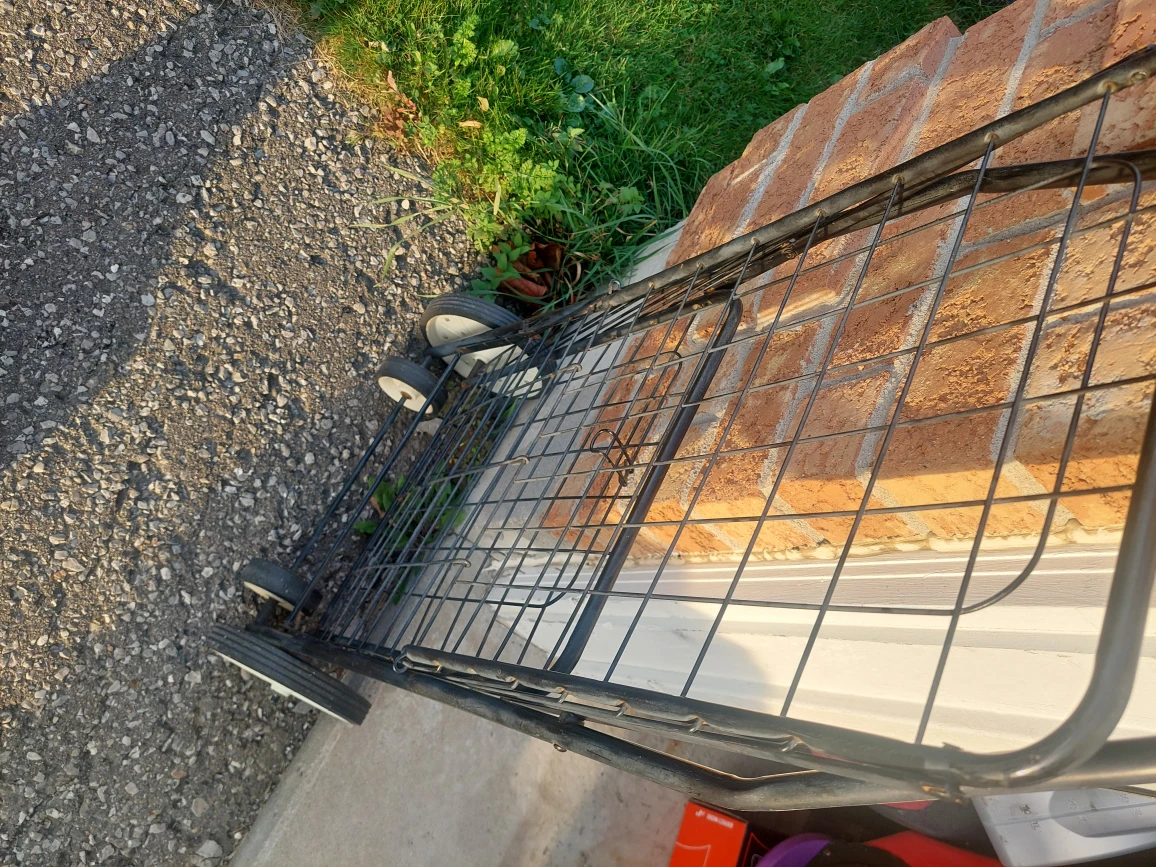 Shopping cart - photo 2