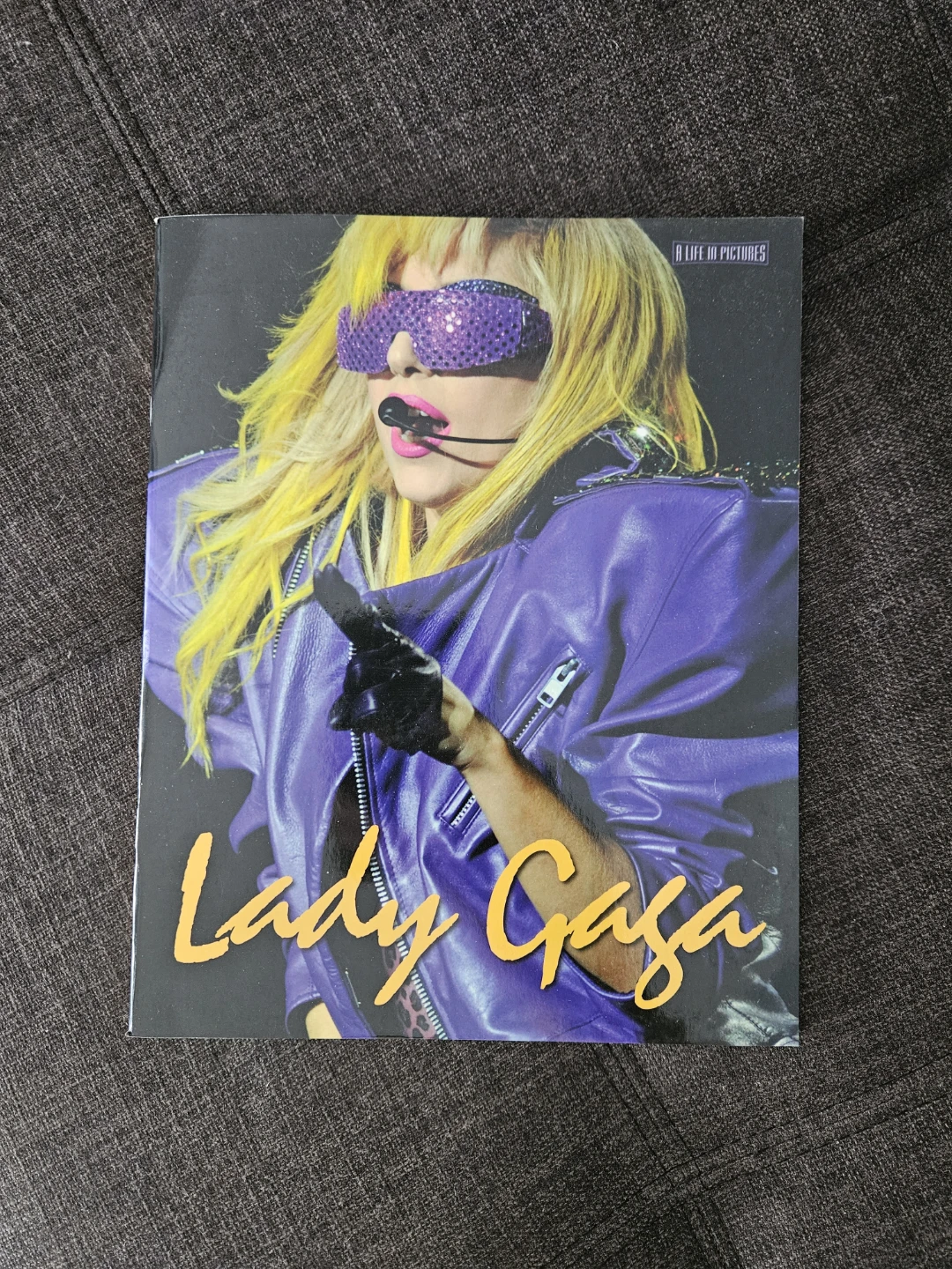 Lady Gaga: A Life In Pictures by Marie Clayton 48 page book