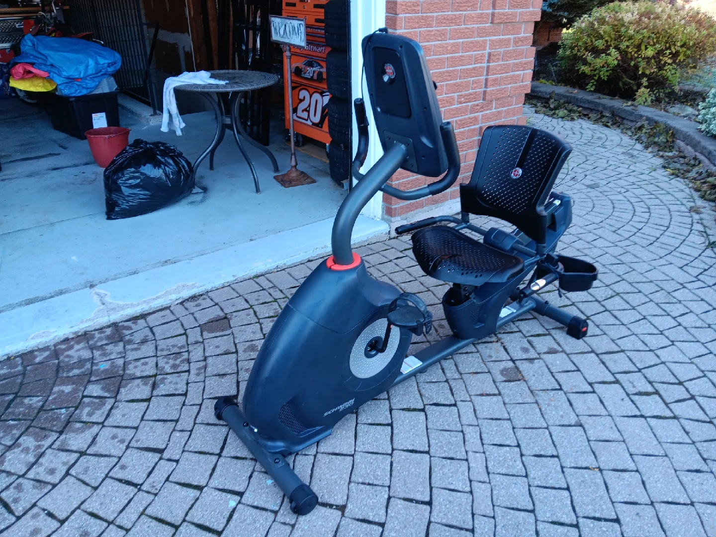 Schwinn 230 Recumbent Bike