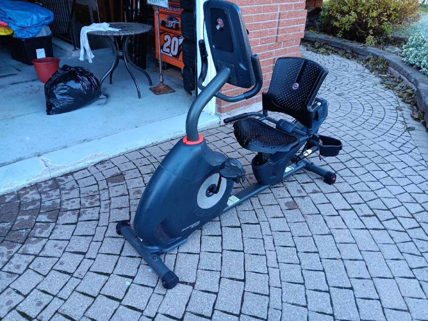 Schwinn 230 Recumbent Bike - photo 2