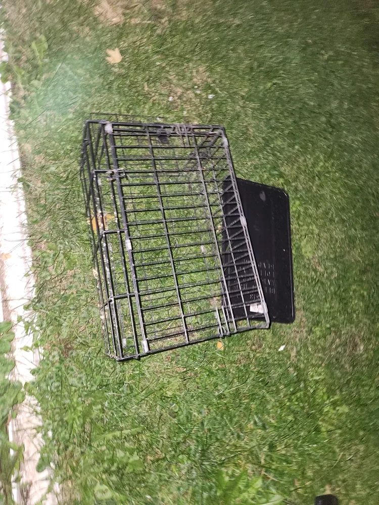 Small Dog Crate - 23 inches tall image indicator(2)