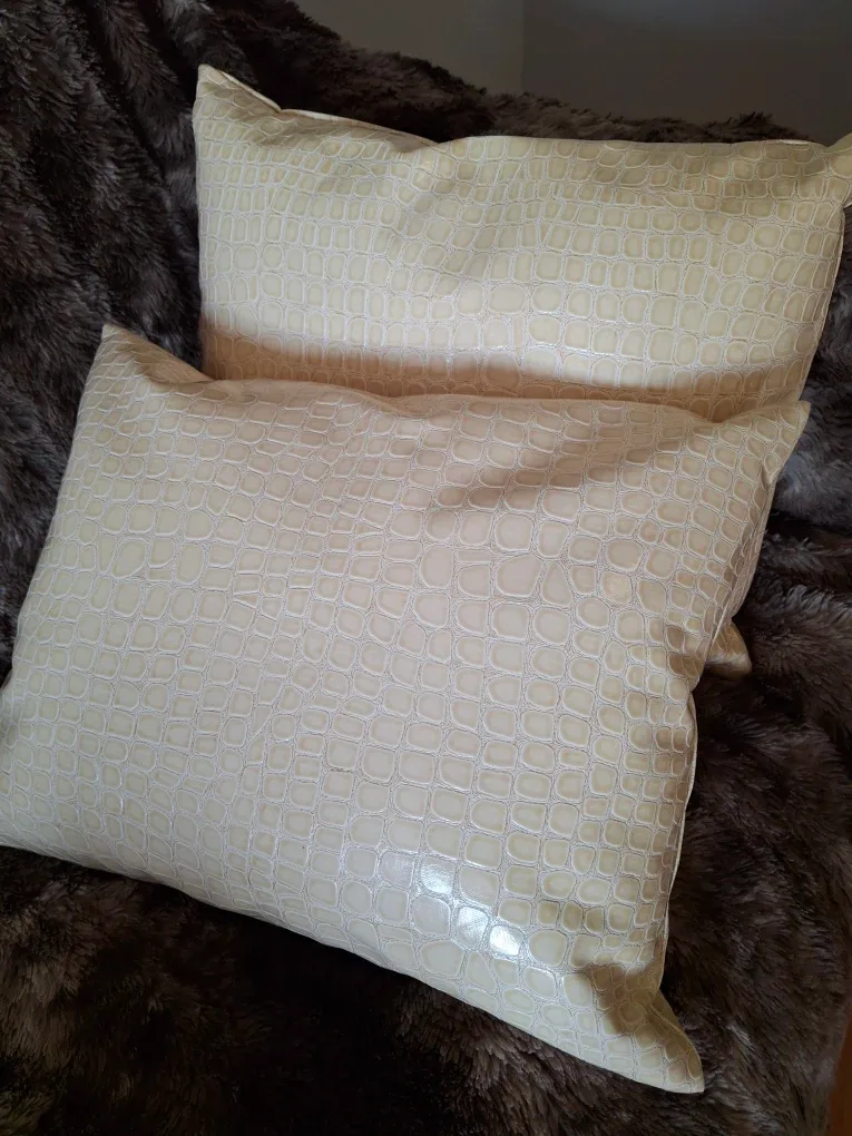 Candice Olson Decorative Pillows - Set of 2 image indicator(5)