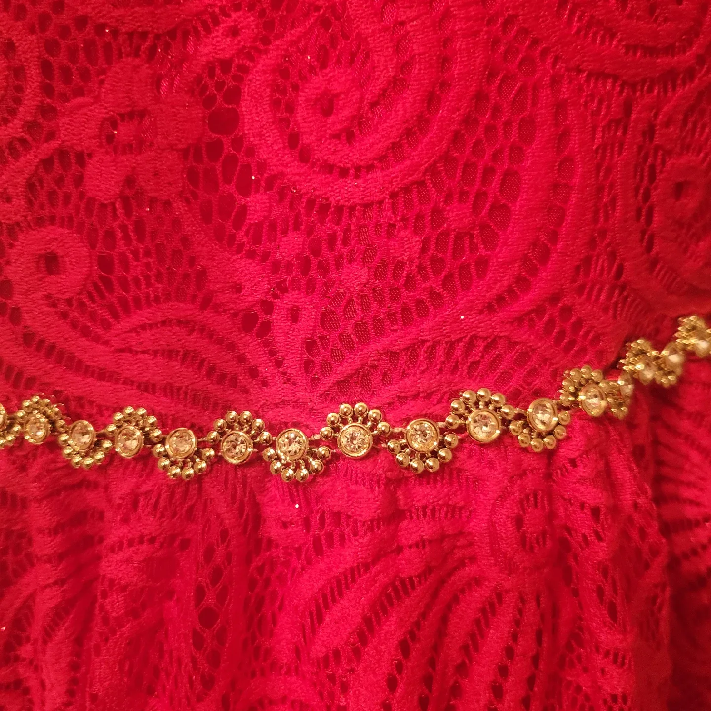 Red Lace Sparkle Dress - Girls Size 10 image indicator(4)