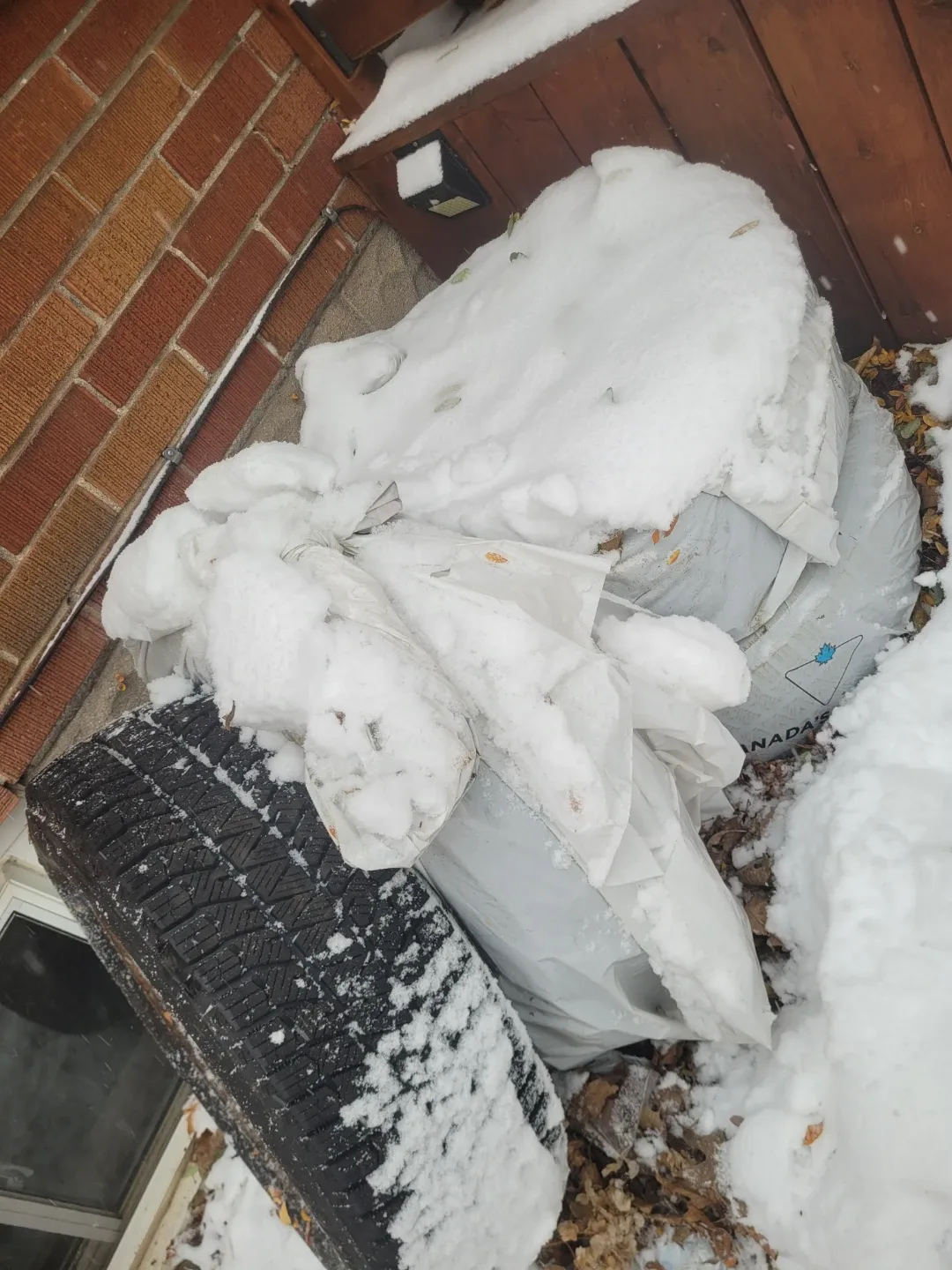 Bridgestone 215/65R16 Tire image indicator(7)