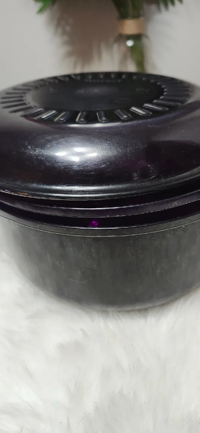 Tupperware Micro Pressure Cooker image indicator(2)