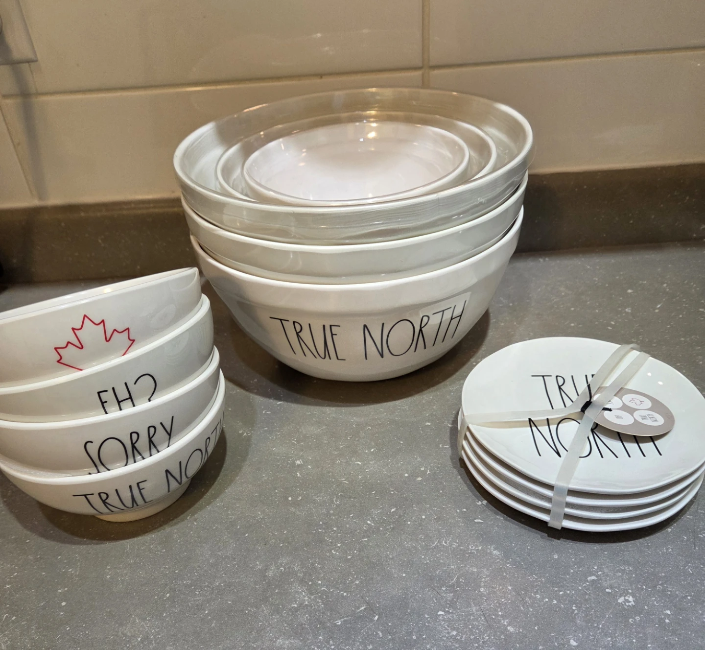 RARE - NEW Rae Dunn True North Dish Set - Canadian Theme