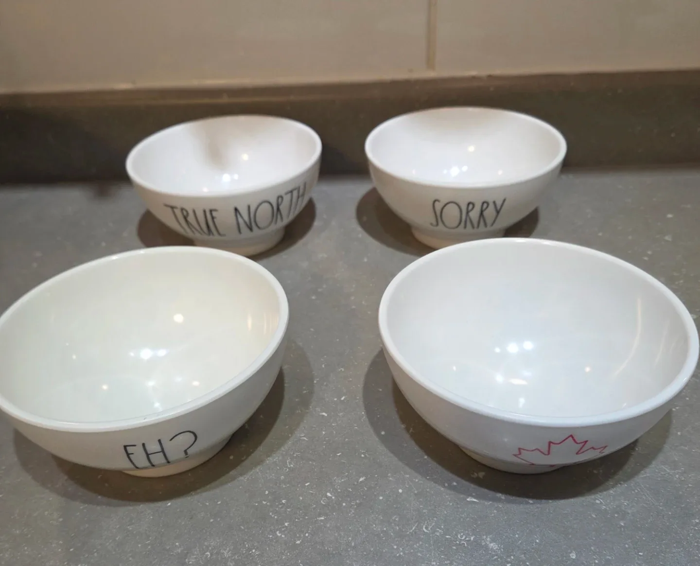 RARE - NEW Rae Dunn True North Dish Set - Canadian Theme image indicator(4)