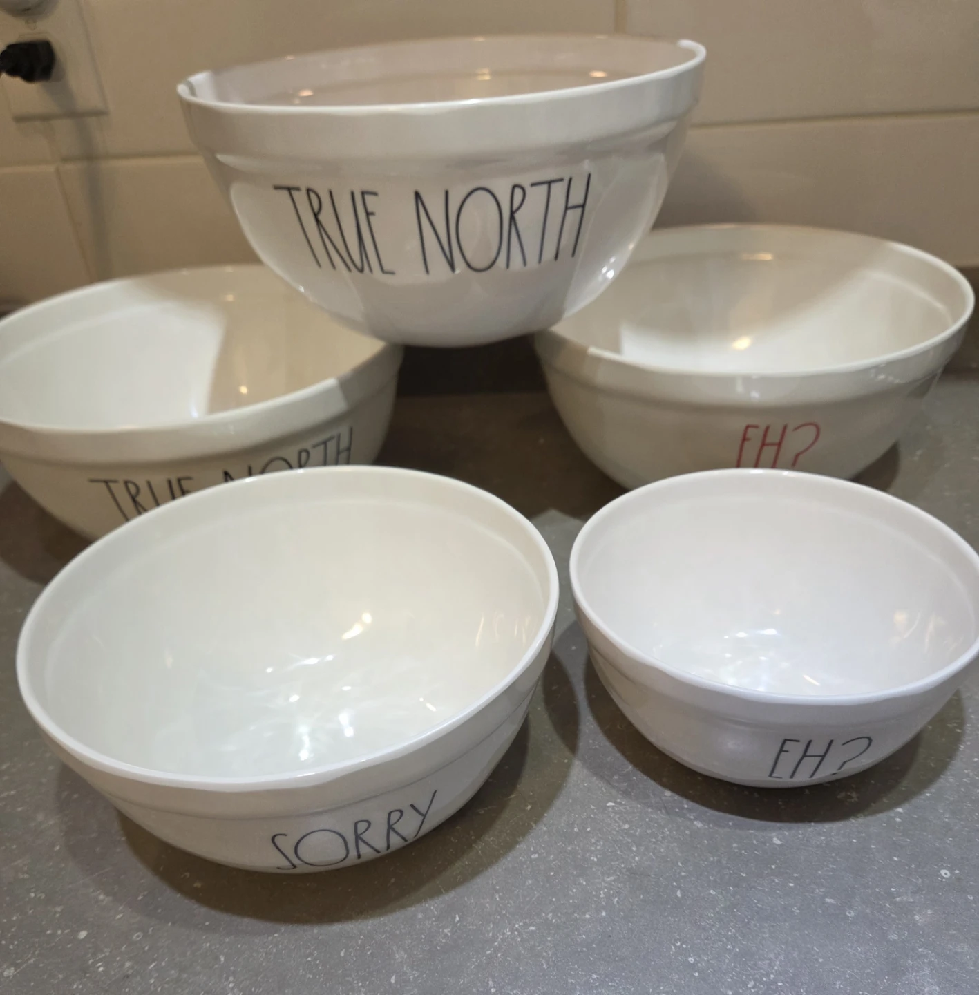 RARE - NEW Rae Dunn True North Dish Set - Canadian Theme - photo 5