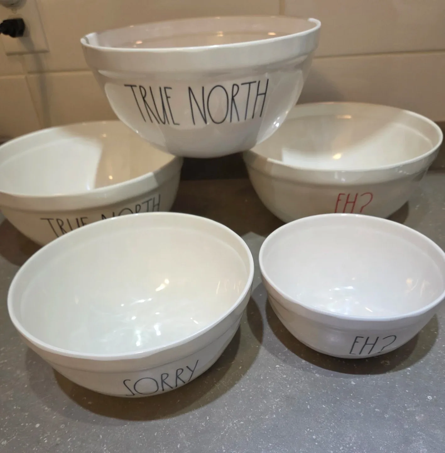 RARE - NEW Rae Dunn True North Dish Set - Canadian Theme image indicator(5)