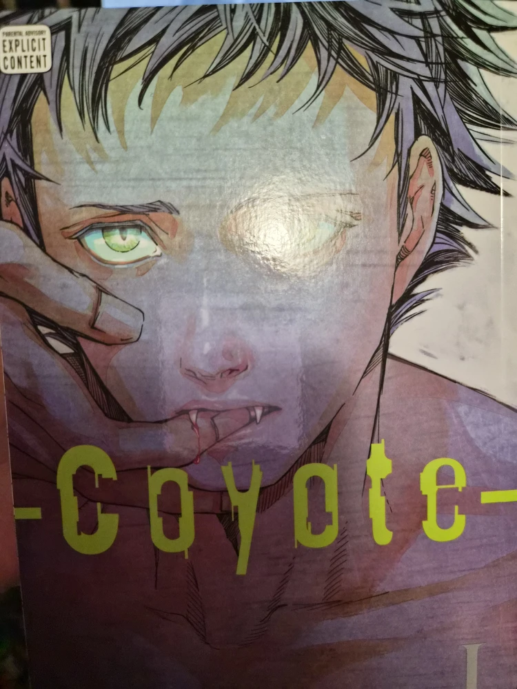 Manga lot for sale - photo 3