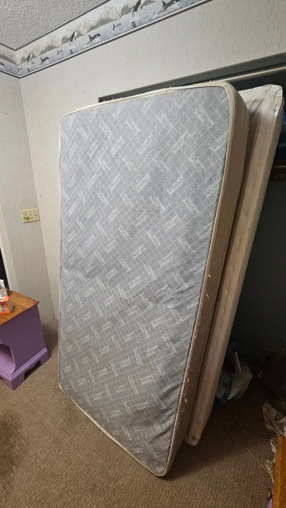 Black Metal Canopy Bed Frame image indicator(3)