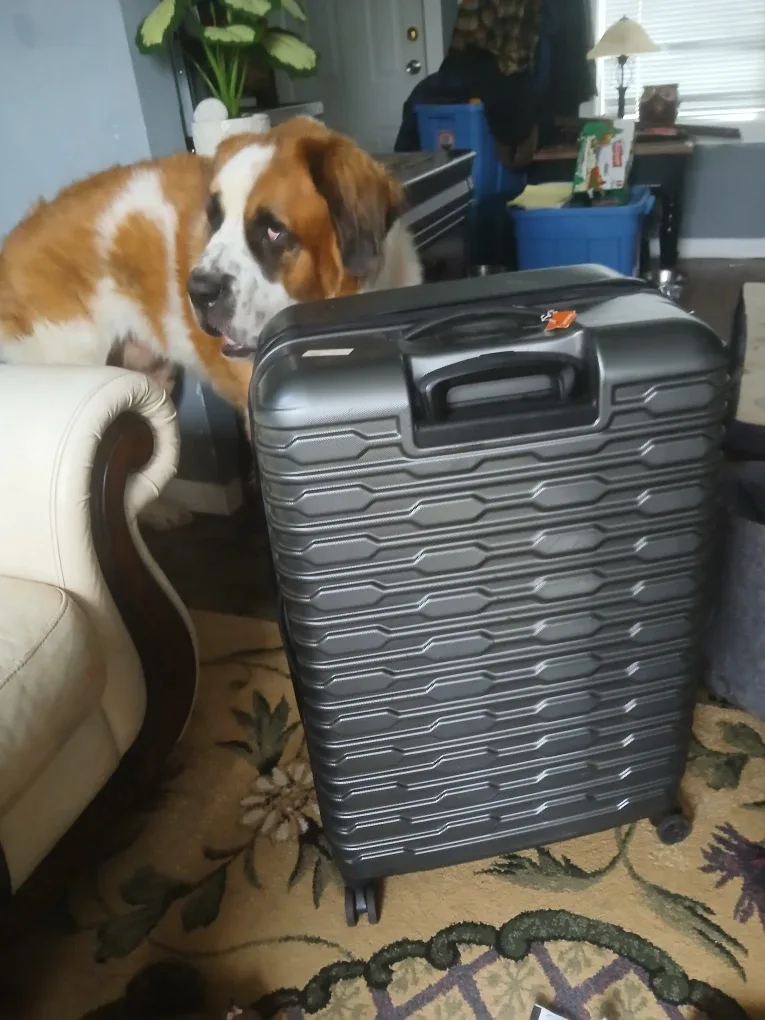 Grey Hardside Suitcase image indicator(4)