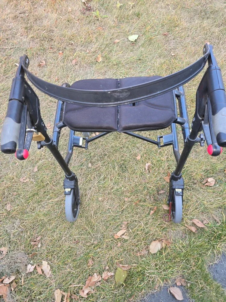 NEXUS Walker image indicator(2)