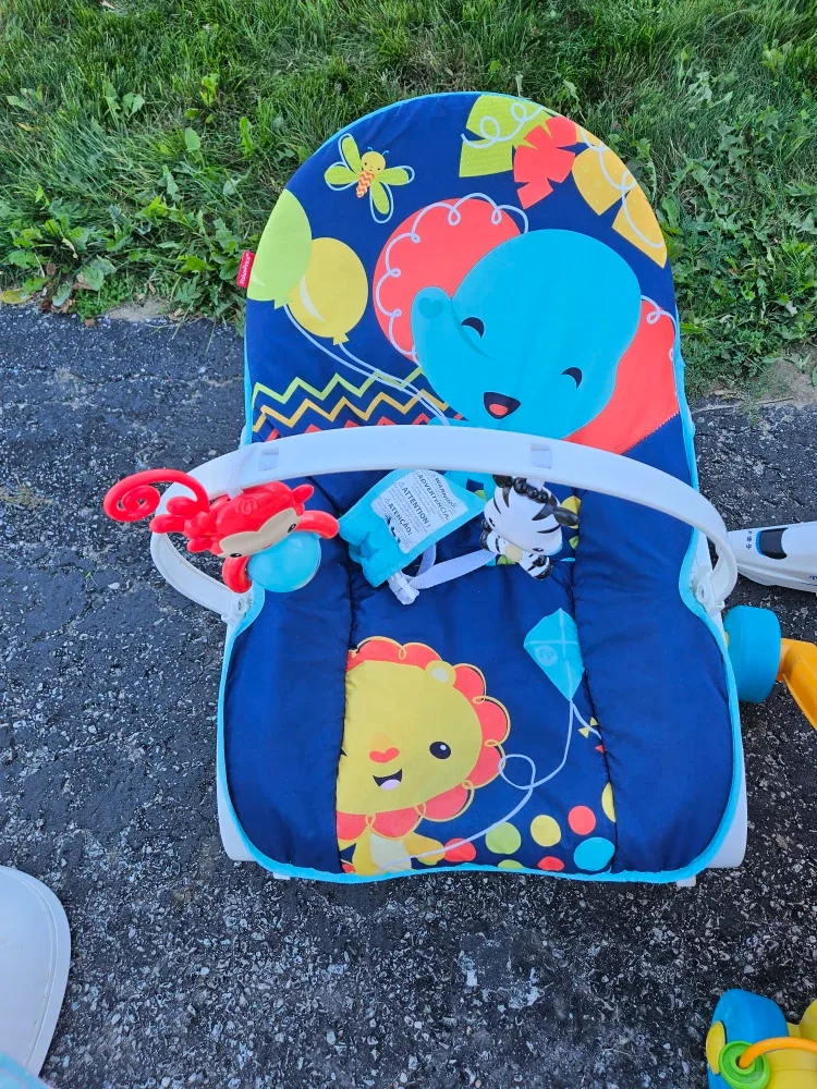 Fisher-Price Baby Bouncer