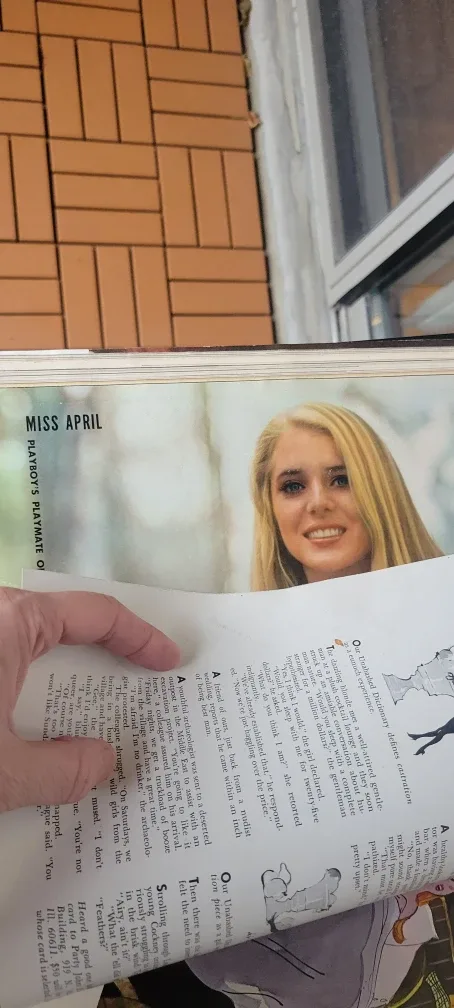 Vintage Playboy Magazines from 1969 image indicator(8)