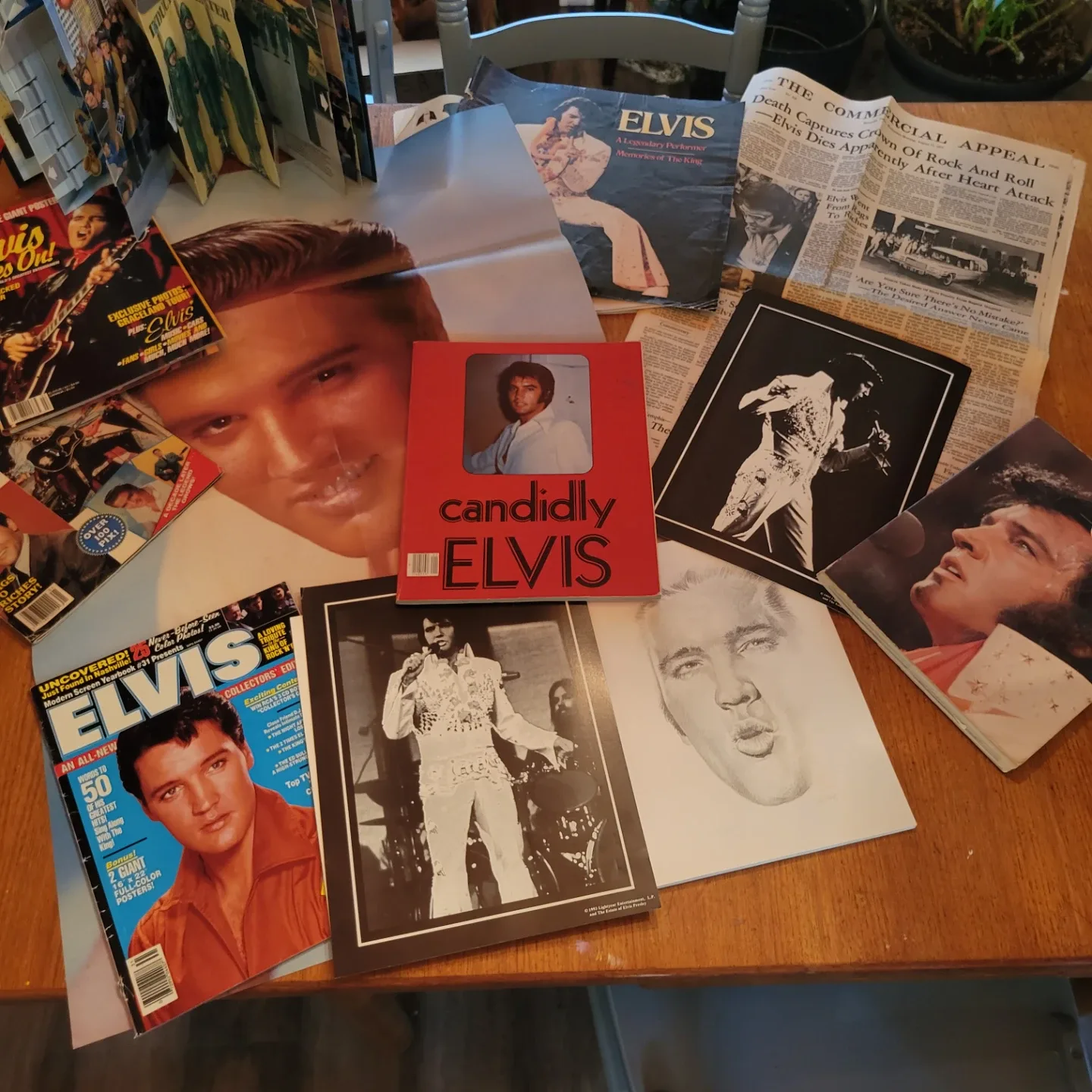 Elvis Fans.. .?