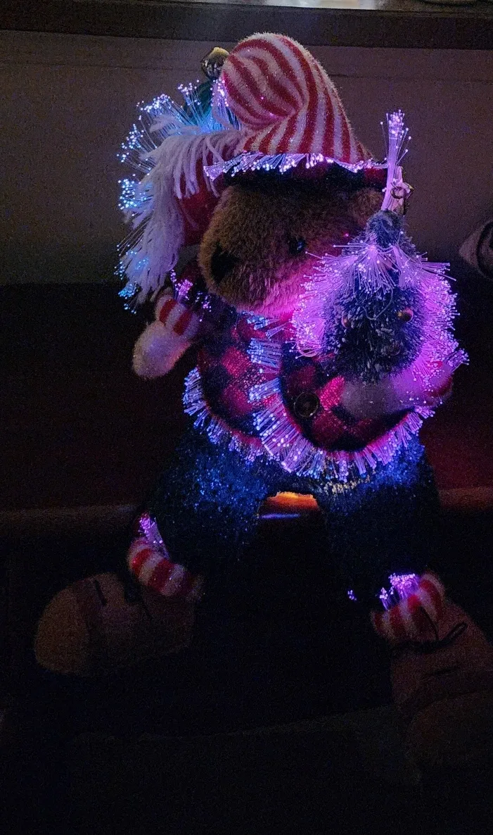 Fiber Optic Christmas Bear