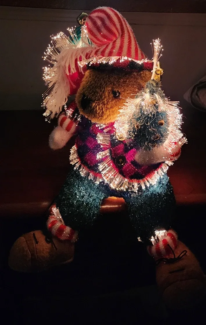 Fiber Optic Christmas Bear image indicator(2)