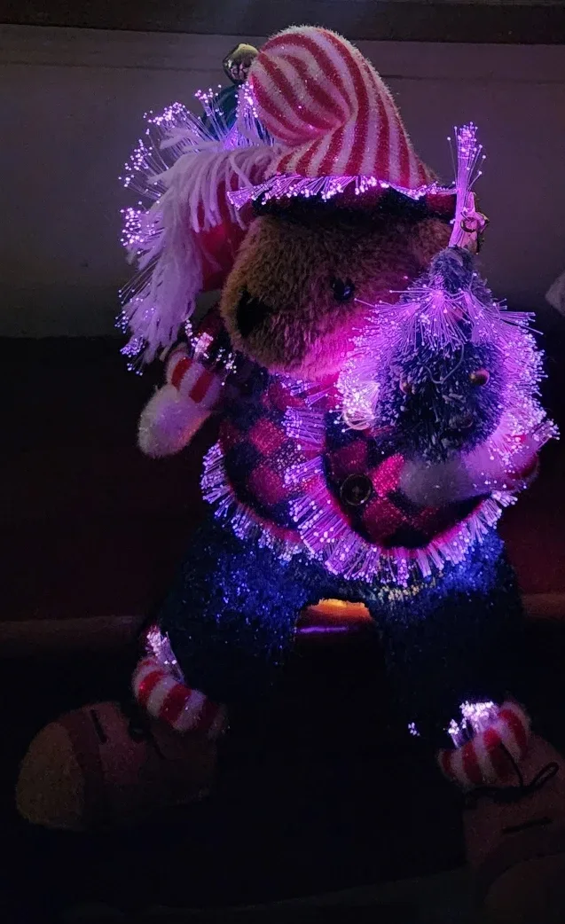 Fiber Optic Christmas Bear image indicator(4)