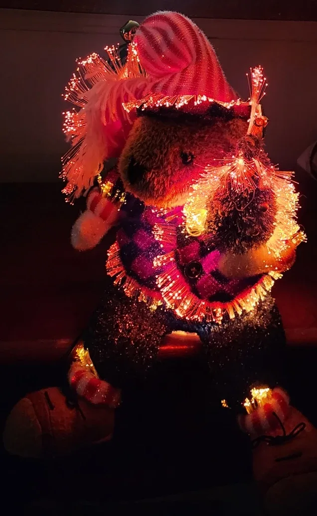 Fiber Optic Christmas Bear image indicator(5)