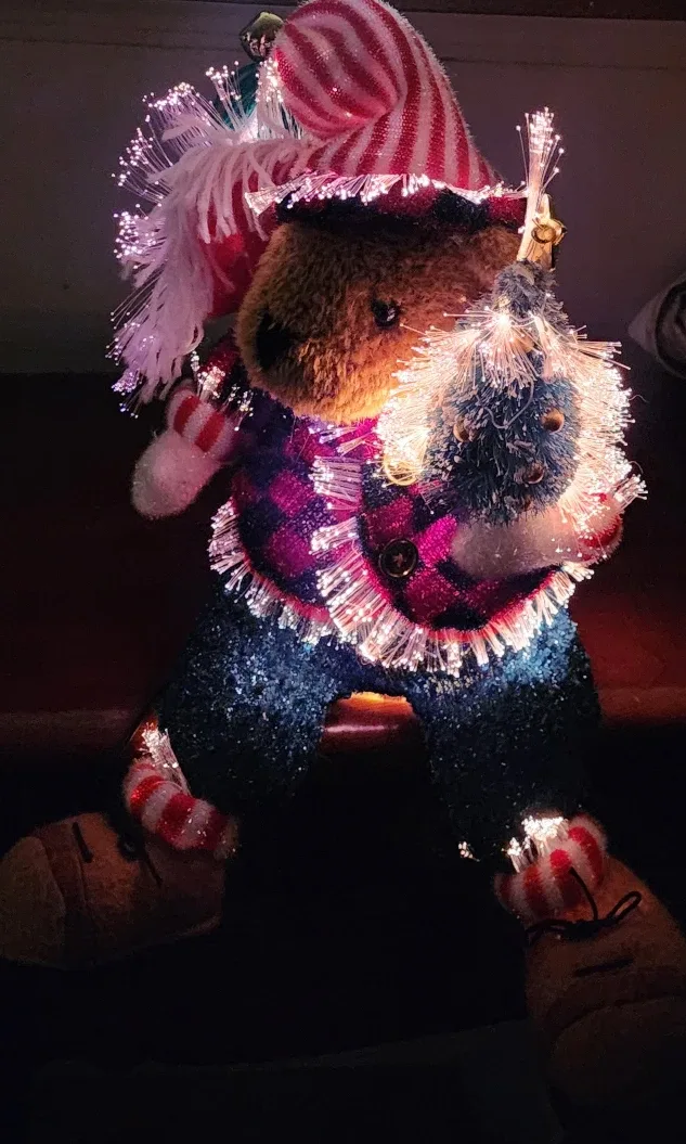 Fiber Optic Christmas Bear image indicator(6)