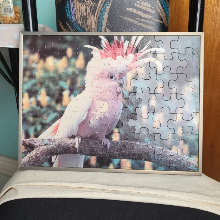 Cockatoo Puzzle