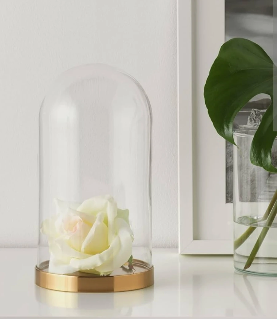 IKEA BEGAVNING Glass Dome with Base