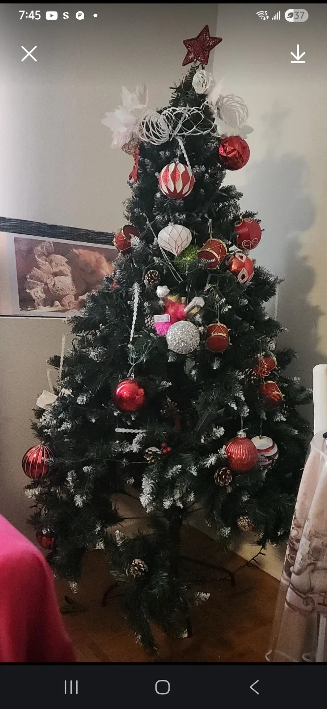 Decorated Christmas Tree thumbnail