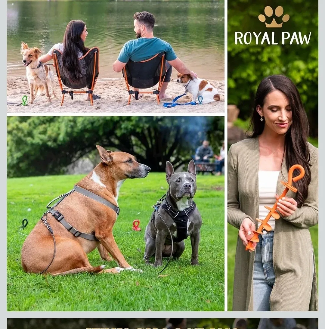 Dog Tie Out Stake - Heavy Duty image indicator(5)