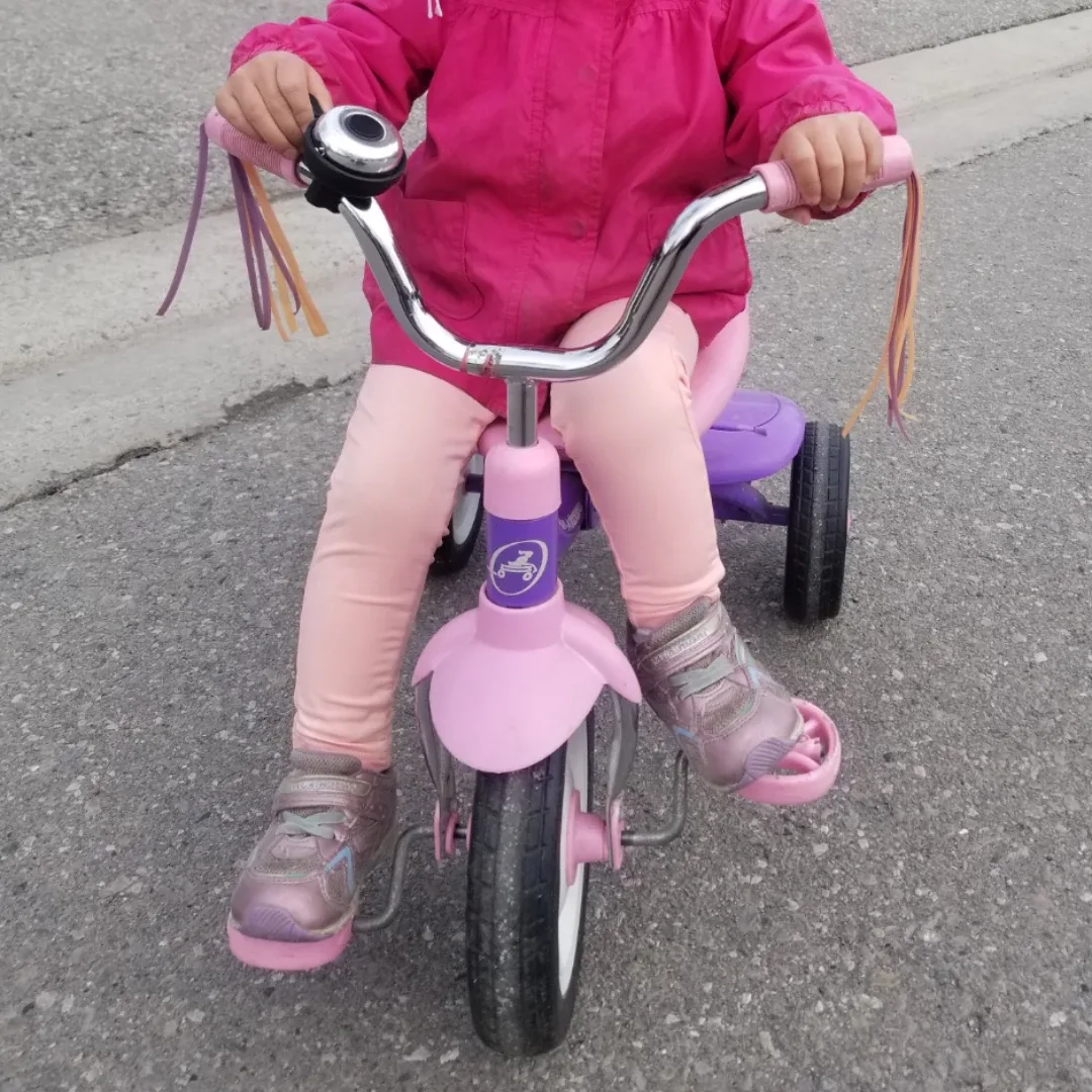 Radio Flyer Pink & Purple Tricycle image indicator(4)