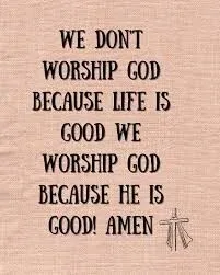 Seeking Bright & Spacious peaceful condo apartment room for RENT