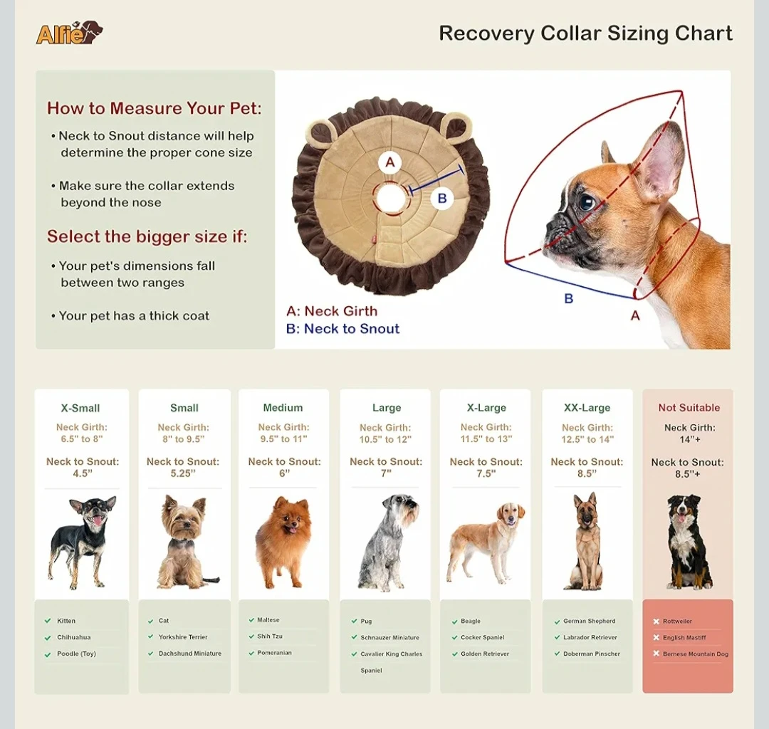 Alfie Pet - Noah Recovery Collar (for Dogs and Cats) ... - photo 2