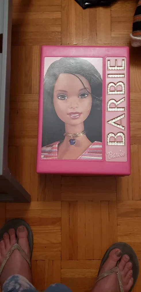 Barbie Doll & Accessories Set