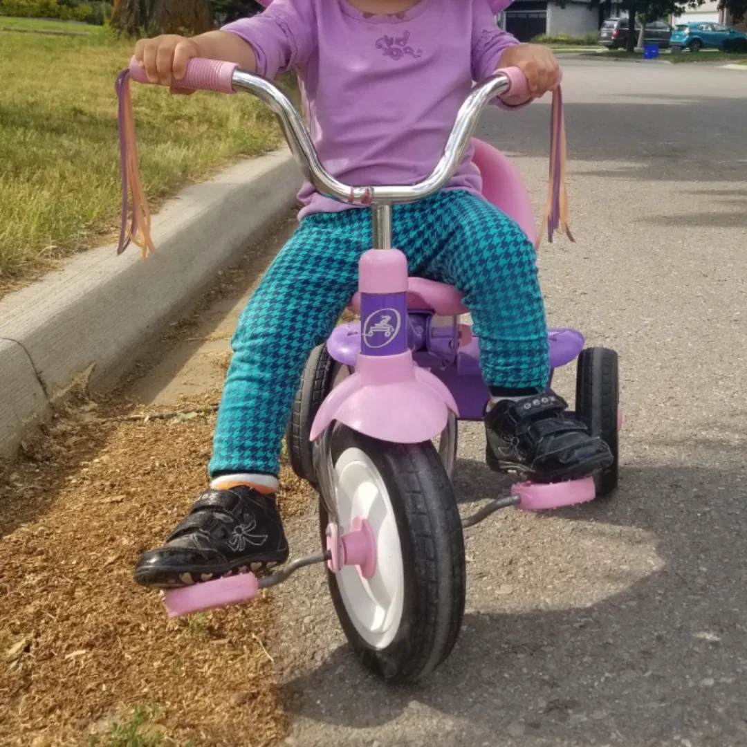 Radio Flyer Pink & Purple Tricycle image indicator(6)