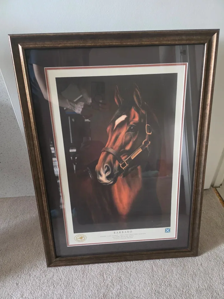 Framed Barbaro Horse Racing Print